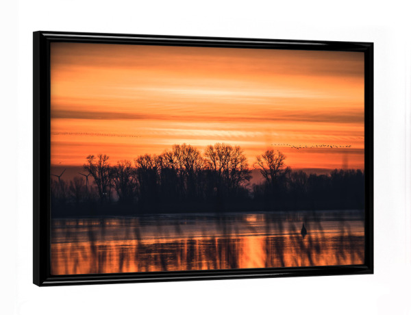 Poster mit schwarzem Rahmen "Morgens am Wasser" artboxONE - Natur,Tiere