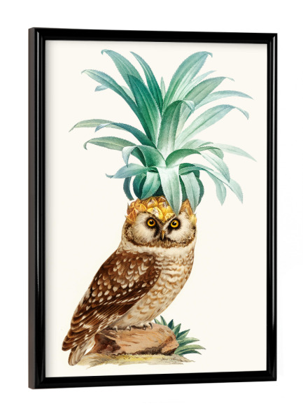 Poster mit schwarzem Rahmen "PINEAPPLE OWL VINTAGE" artboxONE - Natur,Tiere,Essen & Trinken / Obst & Gemüse,Lustig