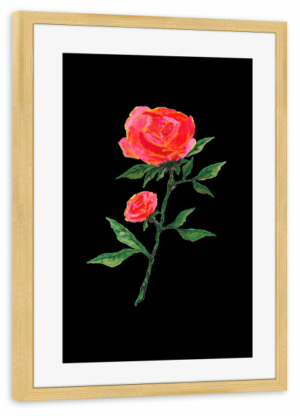 Poster mit Rahmen kiefer "Red Rose Watercolor on Black" artboxONE - Floral,Liebe
