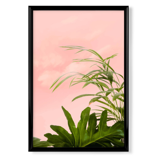 Minimal Botanical