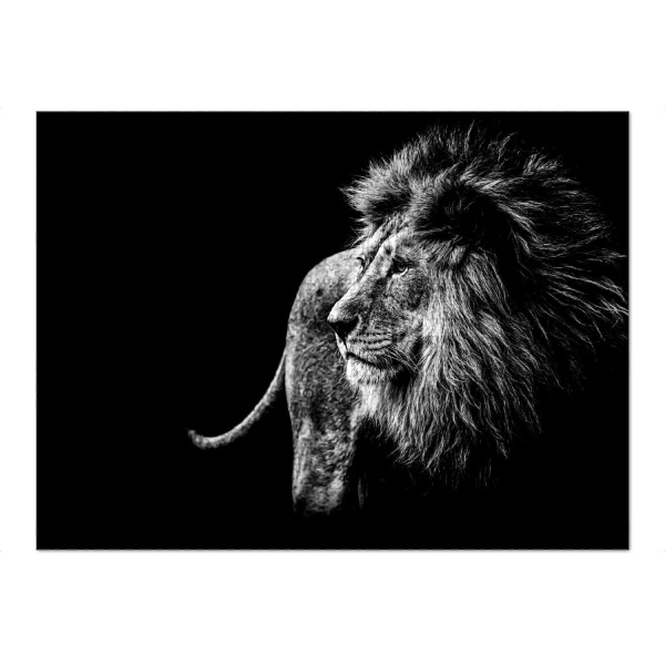 Puzzle Ravensburger "Wild Lion BW" artboxONE - Natur,Tiere - Löwe,Lion,Animal,Blackandwhite,Schwarzweiß,Wild,Tier,Natur,Nature - Bild löwe