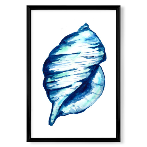 Blue Seashell Watercolor