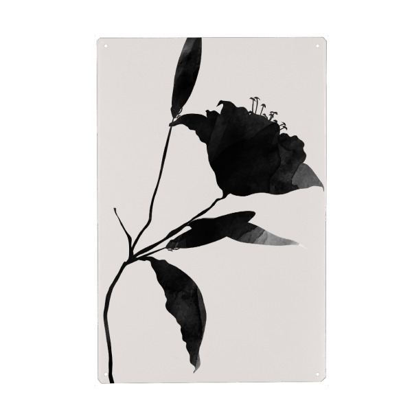 Metall Poster "Nero Flor" artboxONE - Natur,Floral,Abstrakt - Blume,Blumen,Flowers,Floral,Abstract,Abstrakt,Natur,Nature,Minimal,Minimalistisch