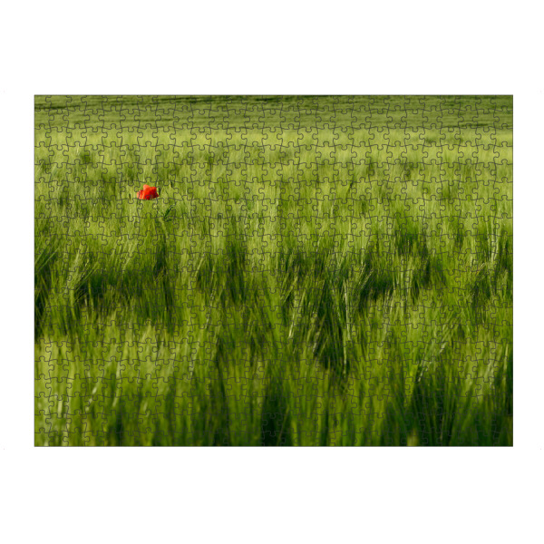 artboxONE Puzzle "Roter Fleck" artboxONE - Natur,Floral