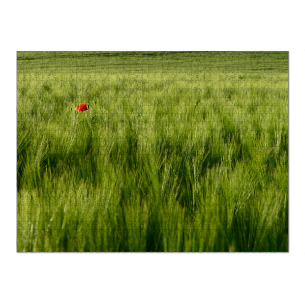 Puzzle Ravensburger "Roter Fleck" artboxONE - Natur,Floral