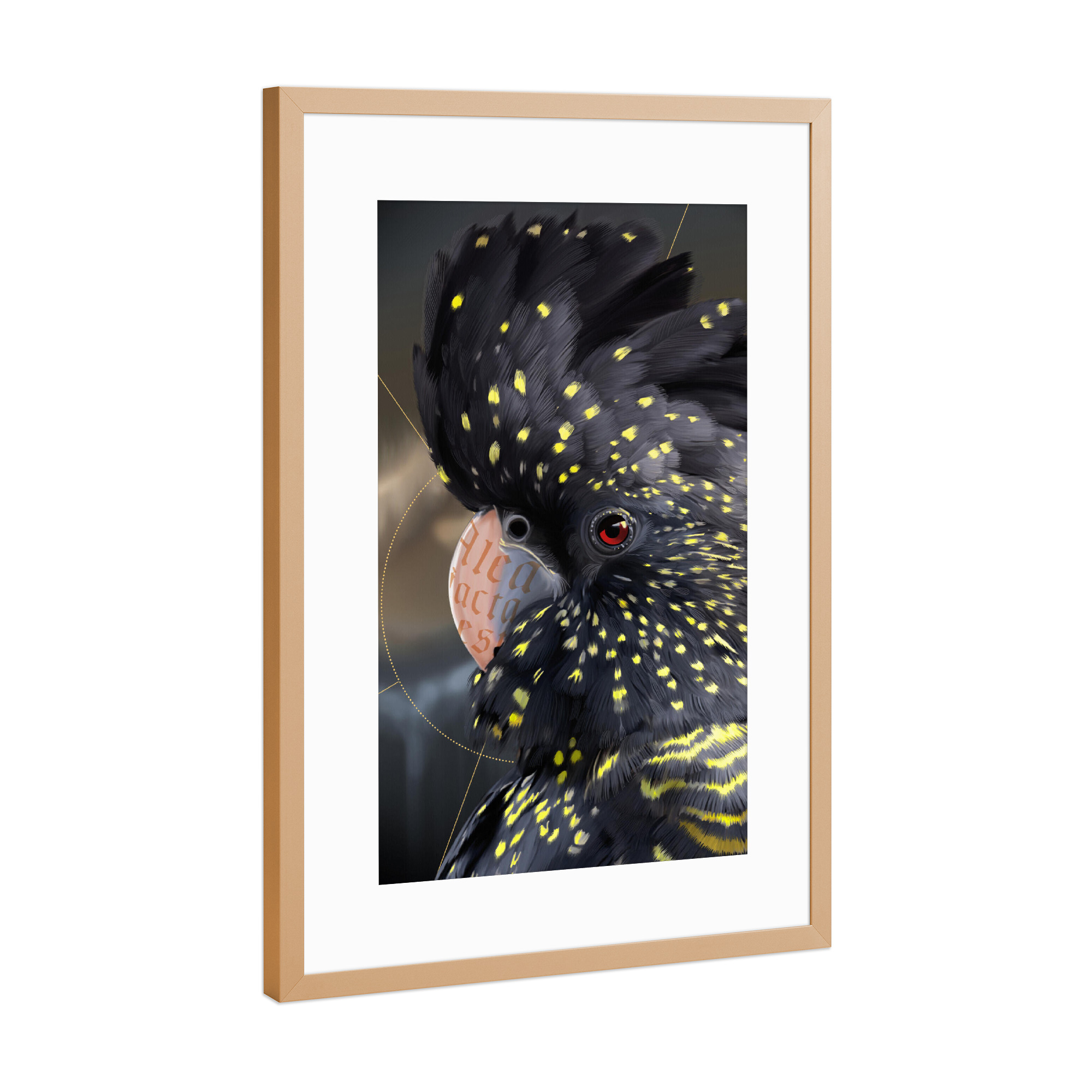 Poster mit Rahmen Kupfer "Kakadu" artboxONE - Natur,Tiere - Kakadu,Vogel,Spiritualität,Esoterik,Exotisch,Mystisch,Bird,Animal,Tier,Portrait,Closeup