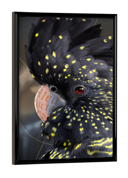 Poster mit schwarzem Rahmen "Kakadu" artboxONE - Natur,Tiere