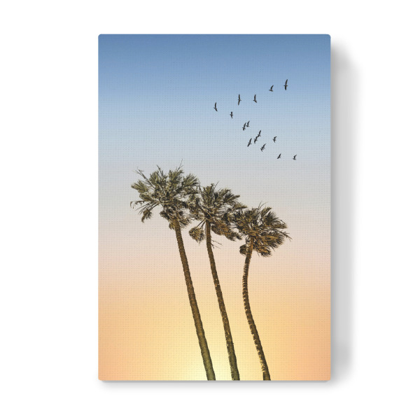 Leinwandbild "Palmen im Sonnenuntergang" artboxONE - Natur,Reise / Strand und Meer