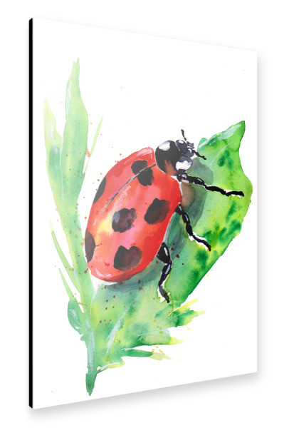 Alu-Dibond "Ladybug on a Green Leaf" 30x20 cm artboxONE