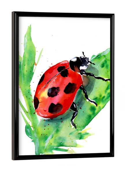 Poster mit schwarzem Rahmen "Ladybug on a Green Leaf" artboxONE - Natur,Tiere