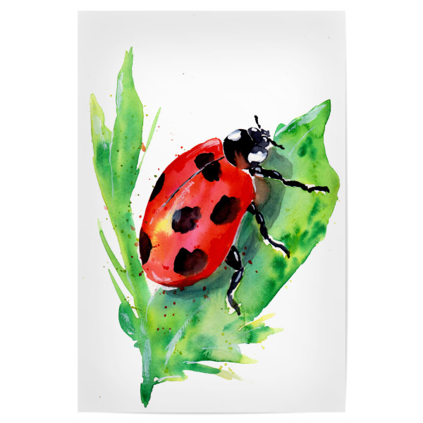 Poster "Ladybug on a Green Leaf" artboxONE - Natur,Tiere