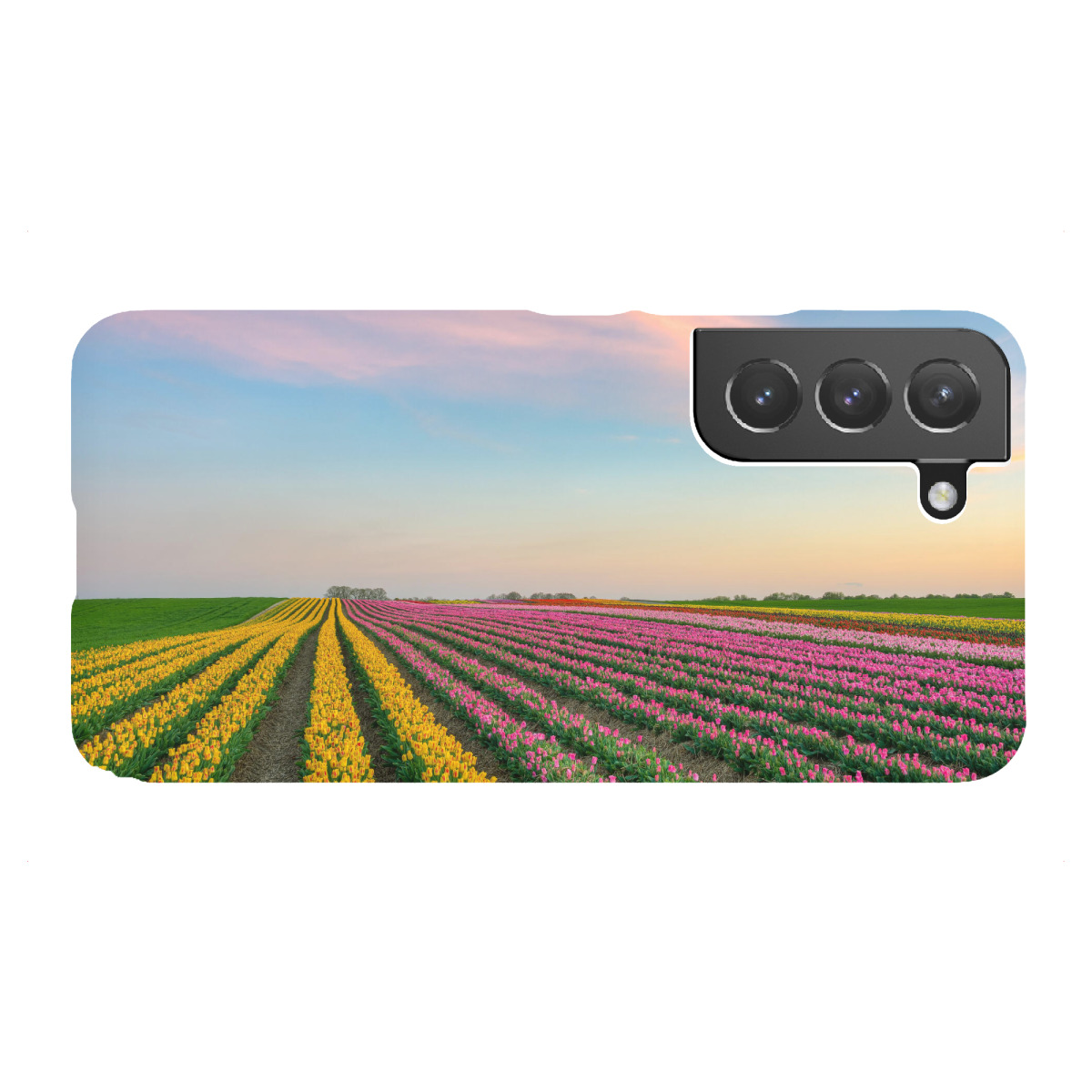 "Tulpenfeld am Niederrhein"für Samsung Galaxy - Premium-Case Handyhülle artboxONE