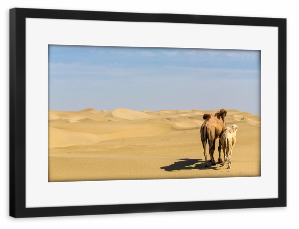 Poster mit Rahmen schwarz "Blick in die Ferne" artboxONE - Natur,Reise,Tiere,Reise / Asien