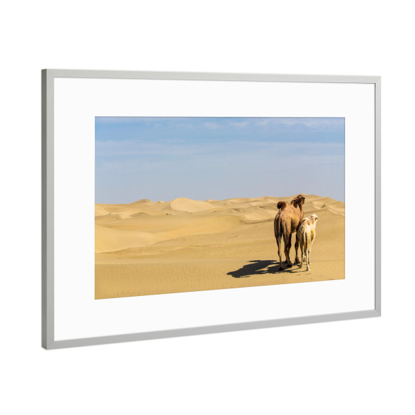 Poster mit Rahmen Silber "Blick in die Ferne" artboxONE - Natur,Reise,Tiere,Reise / Asien