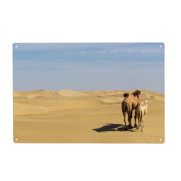 Holzbild "Blick in die Ferne" artboxONE - Natur,Reise,Tiere,Reise / Asien