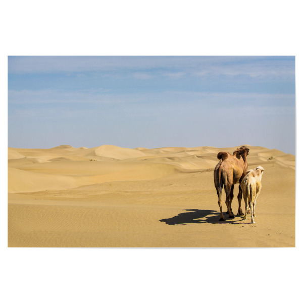 Poster "Blick in die Ferne" artboxONE - Natur,Reise,Tiere,Reise / Asien