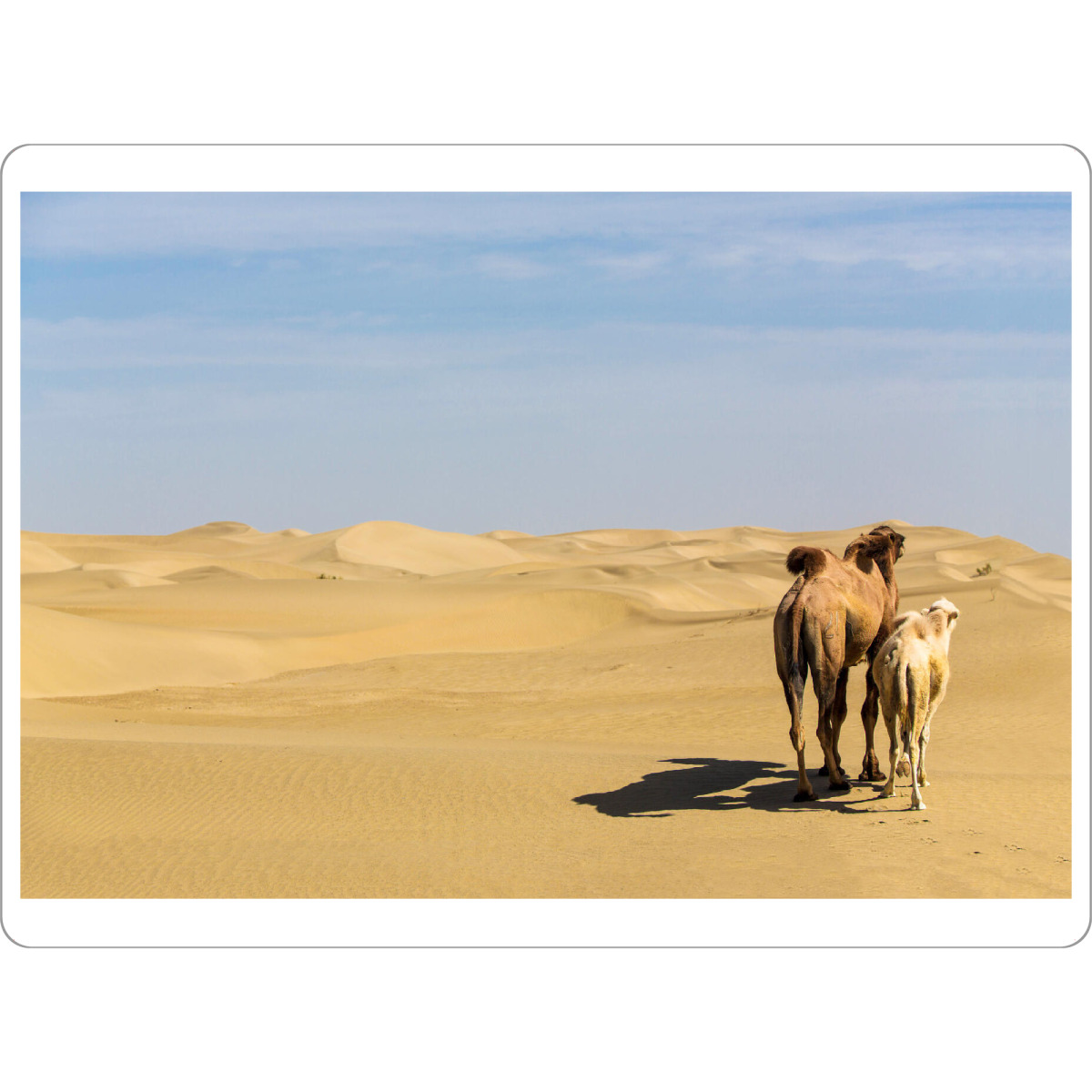 Tischset "Blick in die Ferne" artboxONE - Natur,Reise,Tiere,Reise / Asien