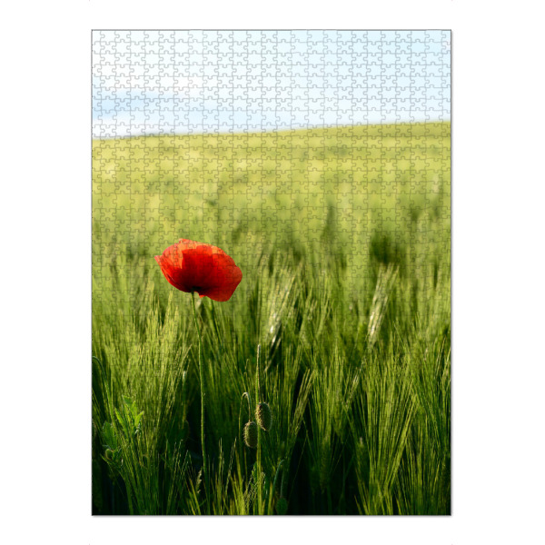 Puzzle Ravensburger "Mohn I" artboxONE - Natur,Floral