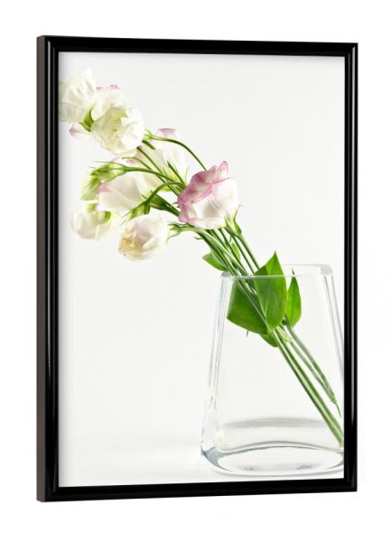 Poster mit schwarzem Rahmen "Lisianthus" artboxONE - Natur,Floral