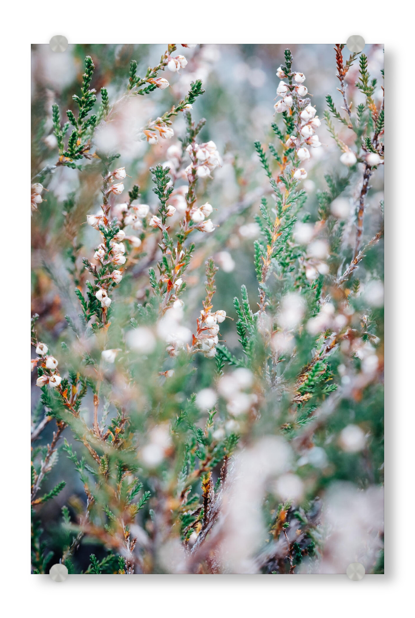 Acrylglasbild "Soft tones" artboxONE - Natur,Reise,Abstrakt,Reise / Länder