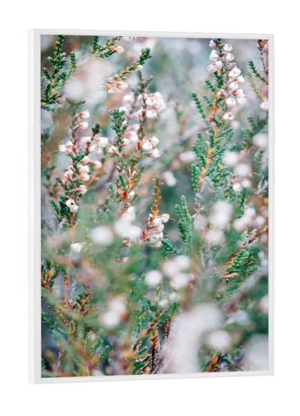 Poster mit weißem Rahmen "Soft tones" artboxONE - Natur,Reise,Abstrakt,Reise / Länder