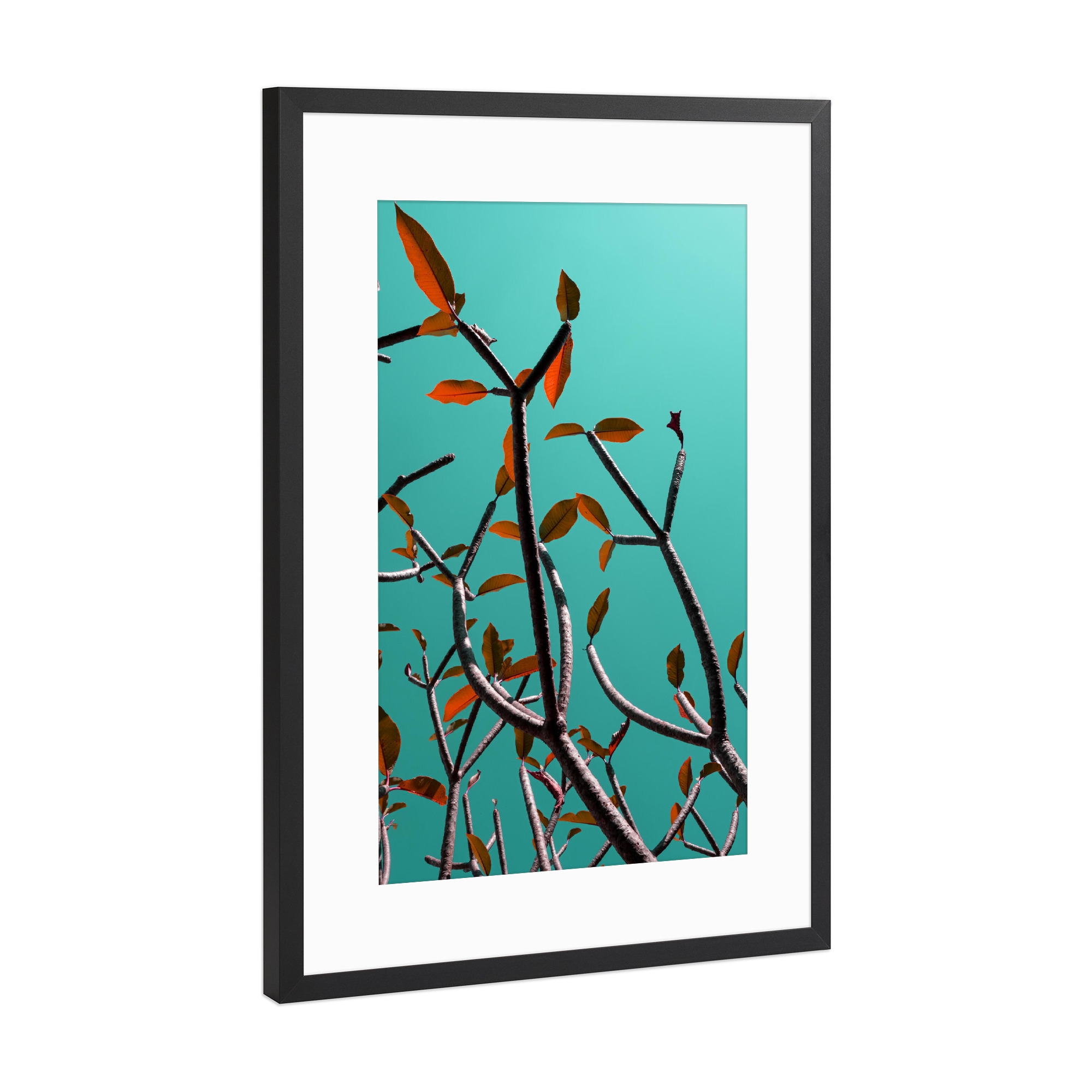 Poster mit Rahmen Schwarz (Metallic) "Pop Tree Green I" artboxONE - Natur,Abstrakt