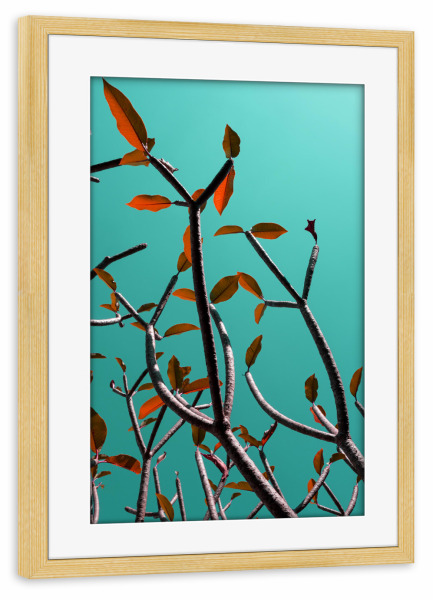 Poster mit Rahmen kiefer "Pop Tree Green I" artboxONE - Natur,Abstrakt - Tree,Twigs,Branches,Sky,Green,Colorful,Bunt,Baum,Blätter,Leaves,äste