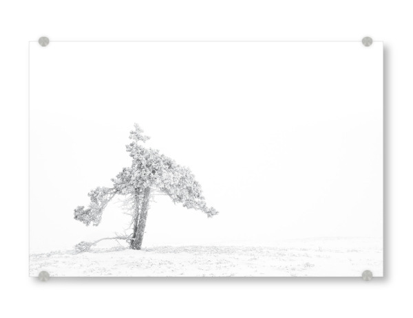 Acrylglasbild "Vereist" artboxONE - Natur,Reise,Reise / Länder