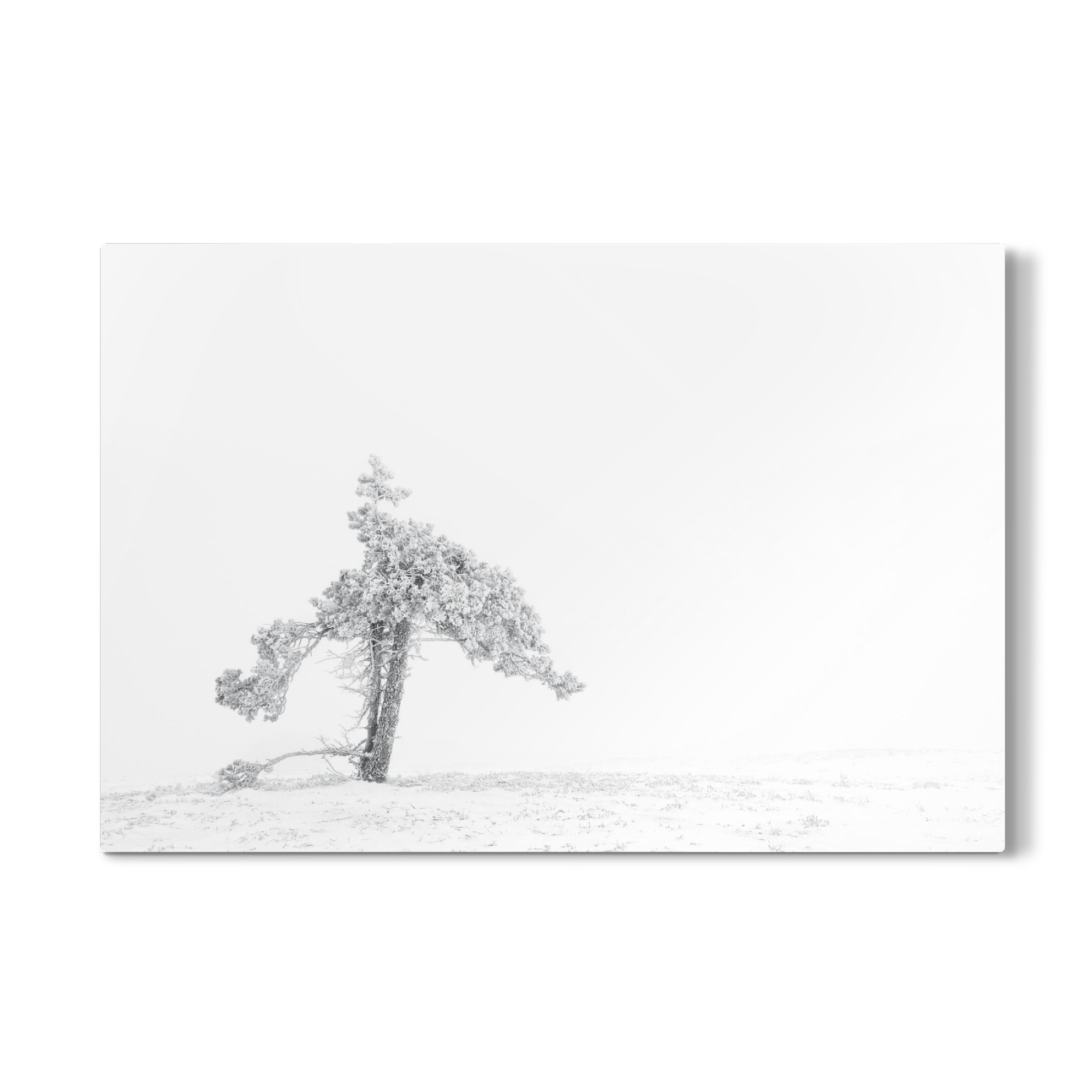 Galerie-Print "Vereist" 75x50 cm artboxONE
