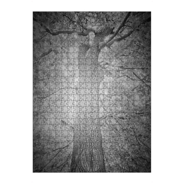 artboxONE Puzzle "Illuminated by a light from behind" artboxONE - Natur,Abstrakt