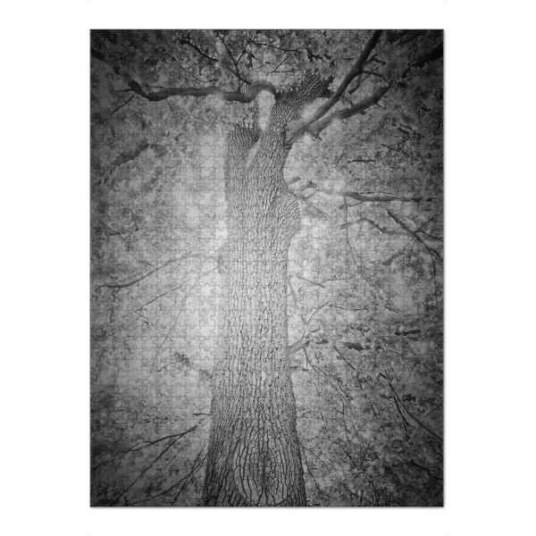 Puzzle Ravensburger "Illuminated by a light from behind" artboxONE - Natur,Abstrakt