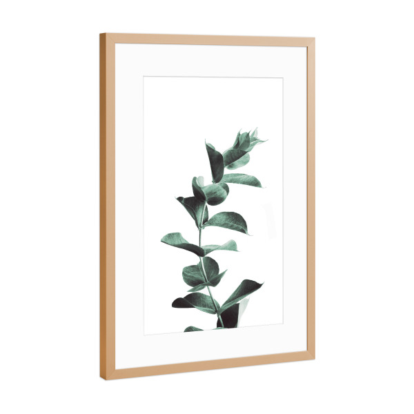 Poster mit Rahmen Kupfer "Eucalyptus, Green Floral" artboxONE - Natur,Floral
