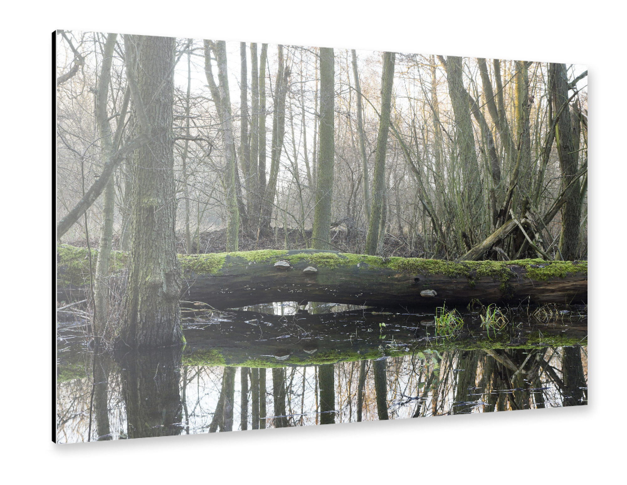 Alu-Dibond "Der Gefallene" 75x50 cm artboxONE
