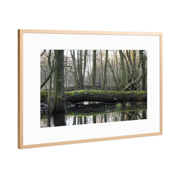 Poster mit Rahmen Kupfer "Der Gefallene" artboxONE - Natur