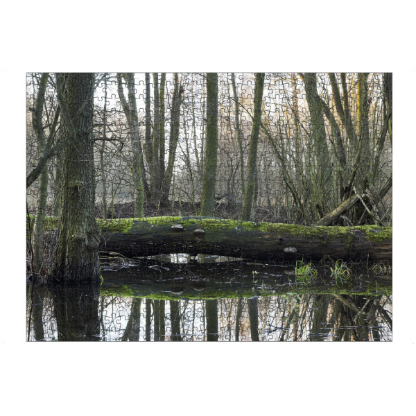 Puzzle Ravensburger "Der Gefallene" artboxONE - Natur