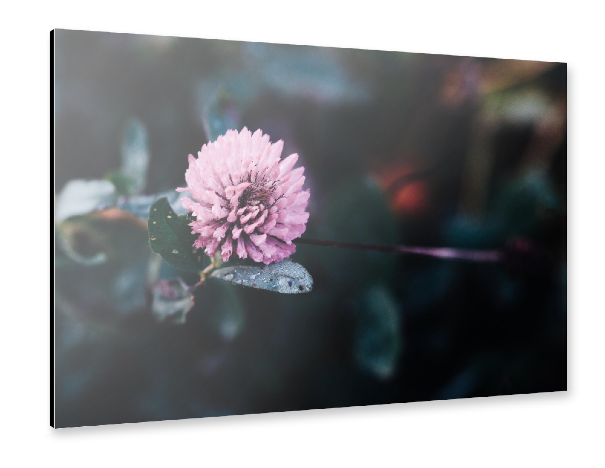 Alu-Dibond "Colour splash" 30x20 cm artboxONE