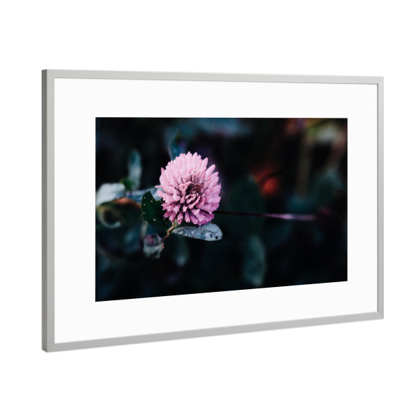 Poster mit Rahmen Silber "Colour splash" artboxONE - Natur,Floral,Abstrakt