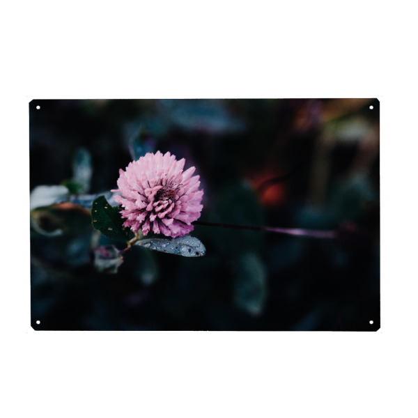 Holzbild "Colour splash" artboxONE - Natur,Floral,Abstrakt