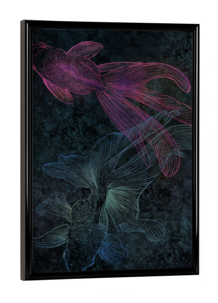 Poster mit schwarzem Rahmen "BETTAS" artboxONE - Natur,Tiere,Abstrakt,Unterwasser