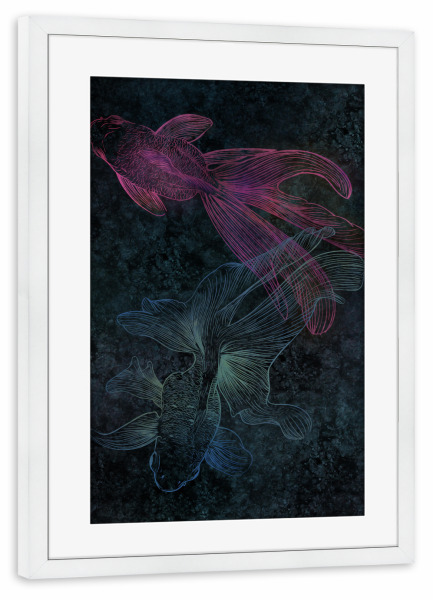 Poster mit Rahmen weiß "BETTAS" artboxONE - Natur,Tiere,Abstrakt,Unterwasser
