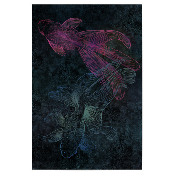 Poster 30x20 cm "BETTAS" artboxONE - Natur,Tiere,Abstrakt,Unterwasser