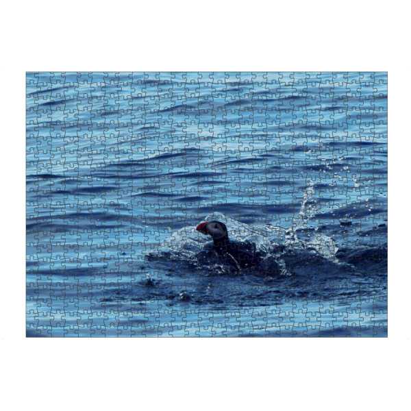 Puzzle Ravensburger "Papageitaucher" artboxONE - Natur,Reise,Tiere,Reise / Strand und Meer,Reise / Länder