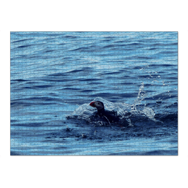 Puzzle Ravensburger "Papageitaucher" artboxONE - Natur,Reise,Tiere,Reise / Strand und Meer,Reise / Länder