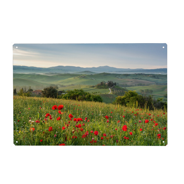 Metall Poster "Frühling in der Toskana" artboxONE - Natur,Reise,Reise / Länder