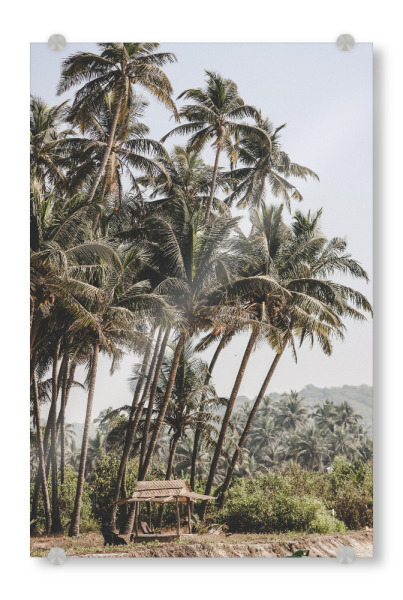 Acrylglasbild "Jungle Beach hut" artboxONE - Natur,Reise,Reise / Strand und Meer,Reise / Länder