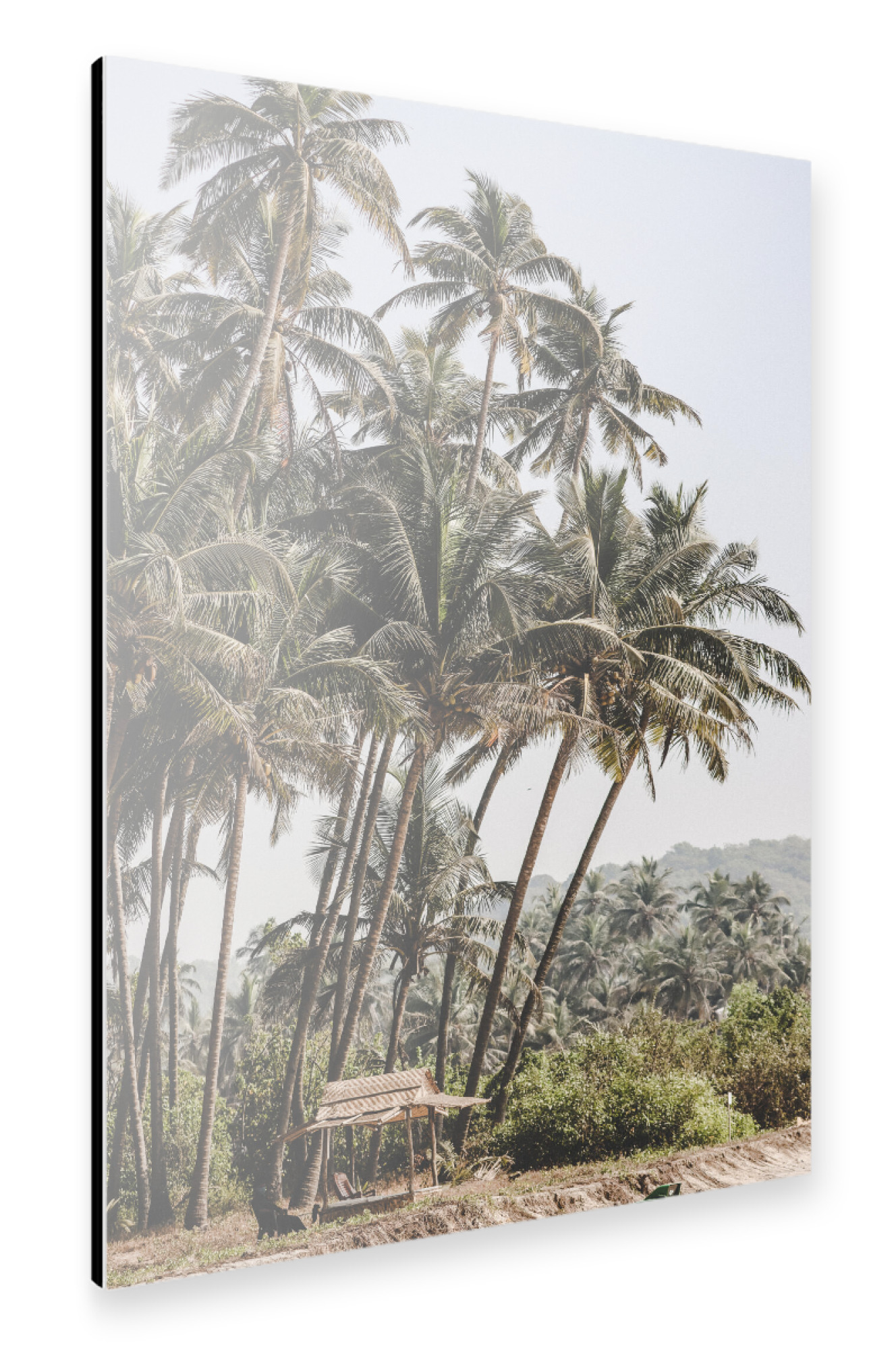 Alu-Dibond "Jungle Beach hut" 75x50 cm artboxONE