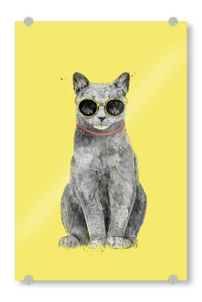 Acrylglasbild "Summer Cat" artboxONE - Tiere,Lustig - Cat,Animals,Sunglasses,Summer,Sunshine,Drawing,Cool,Cute,Kitty,Yellow,Tier,Funny,Lustig,Katze
