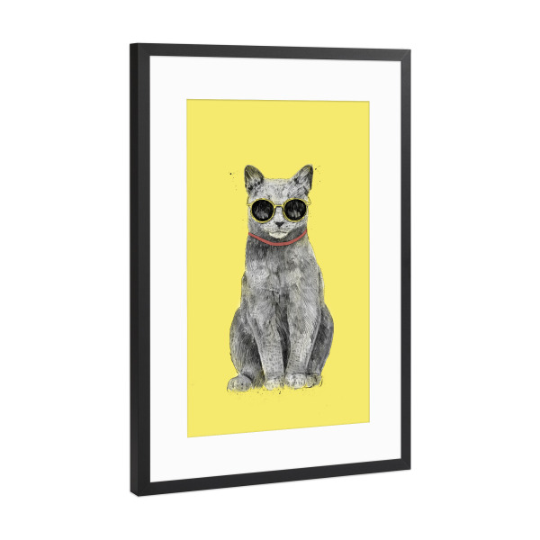 Poster mit Rahmen Schwarz (Metallic) "Summer Cat" artboxONE - Tiere,Lustig