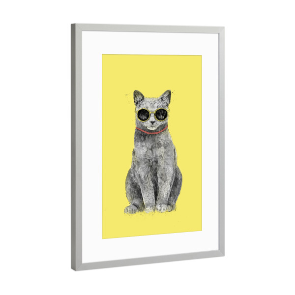 Poster mit Rahmen Silber "Summer Cat" artboxONE - Tiere,Lustig