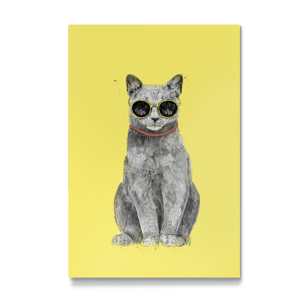 Galerie-Print "Summer Cat" 30x20 cm artboxONE